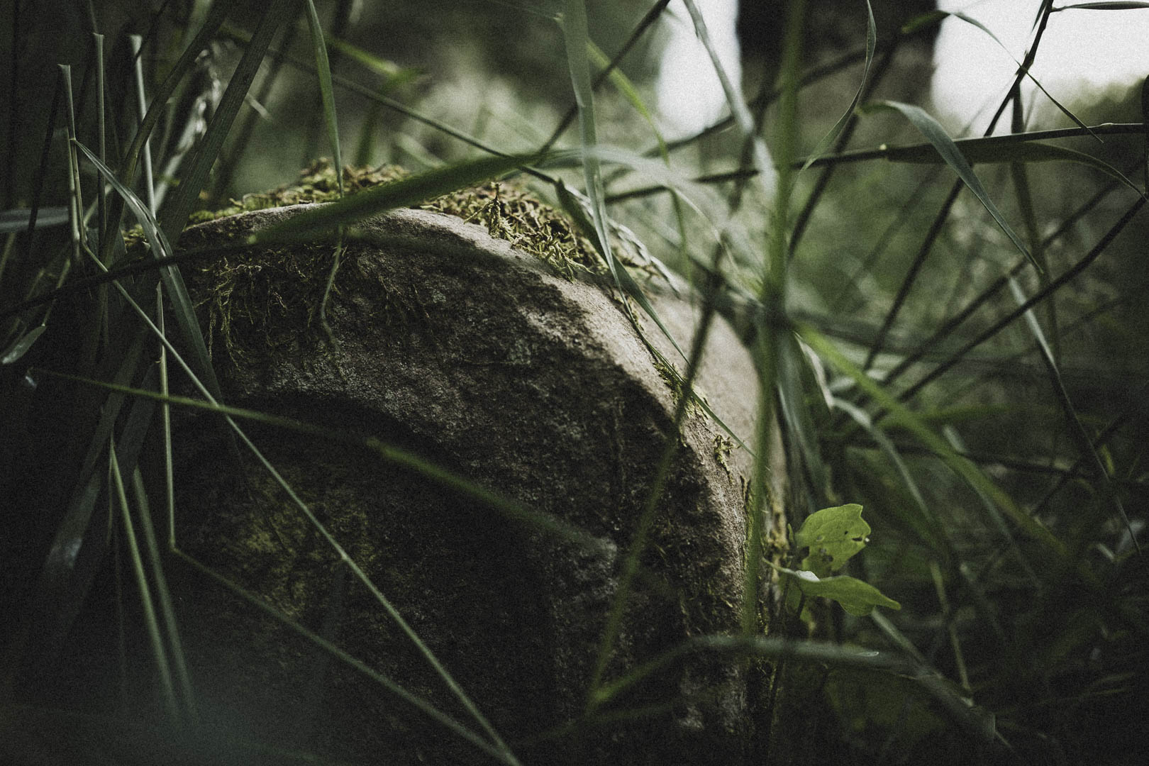 Aufenau Jüdischer Friedhof